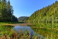 Red lake / Lacul rosu view to the Red Creek end. Royalty Free Stock Photo